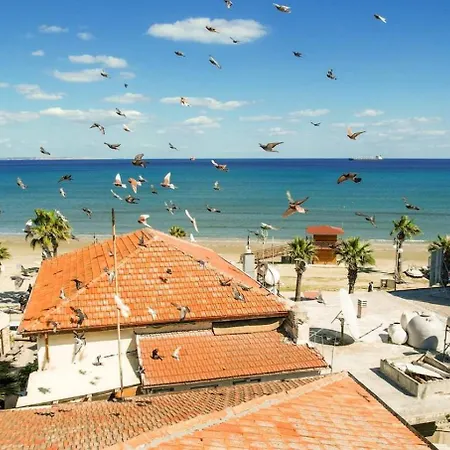 Anteia's Seaview Just Steps From Finikoudes Apartment *